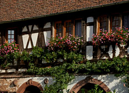 Une maison alsacienne fleurie